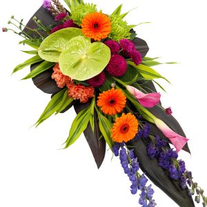 Vibrant Single Ended Spray