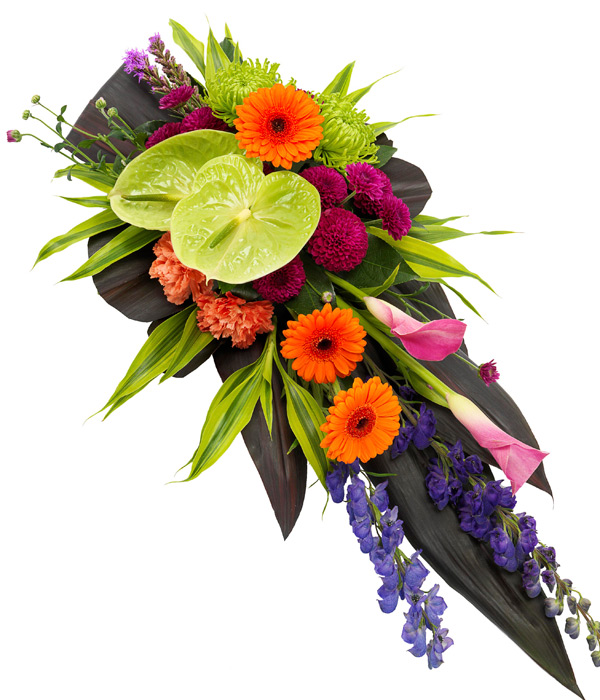 Vibrant Single Ended Spray