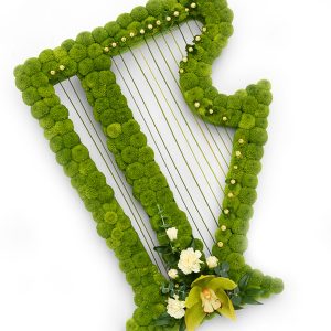 Harp Tribute